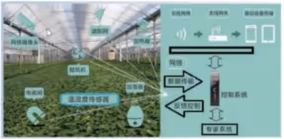 智能大棚控制系统方案结构图